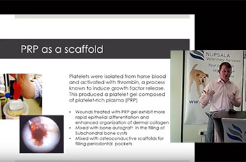 Webinar slide showing information about how to use PRP as a scaffold.