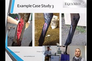 Equi-Med Ag Activated Carbon & Silver Dressings For Veterinary Use - webinar