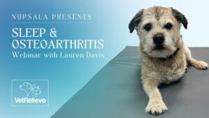 Sleep and Osteoarthritis Webinar