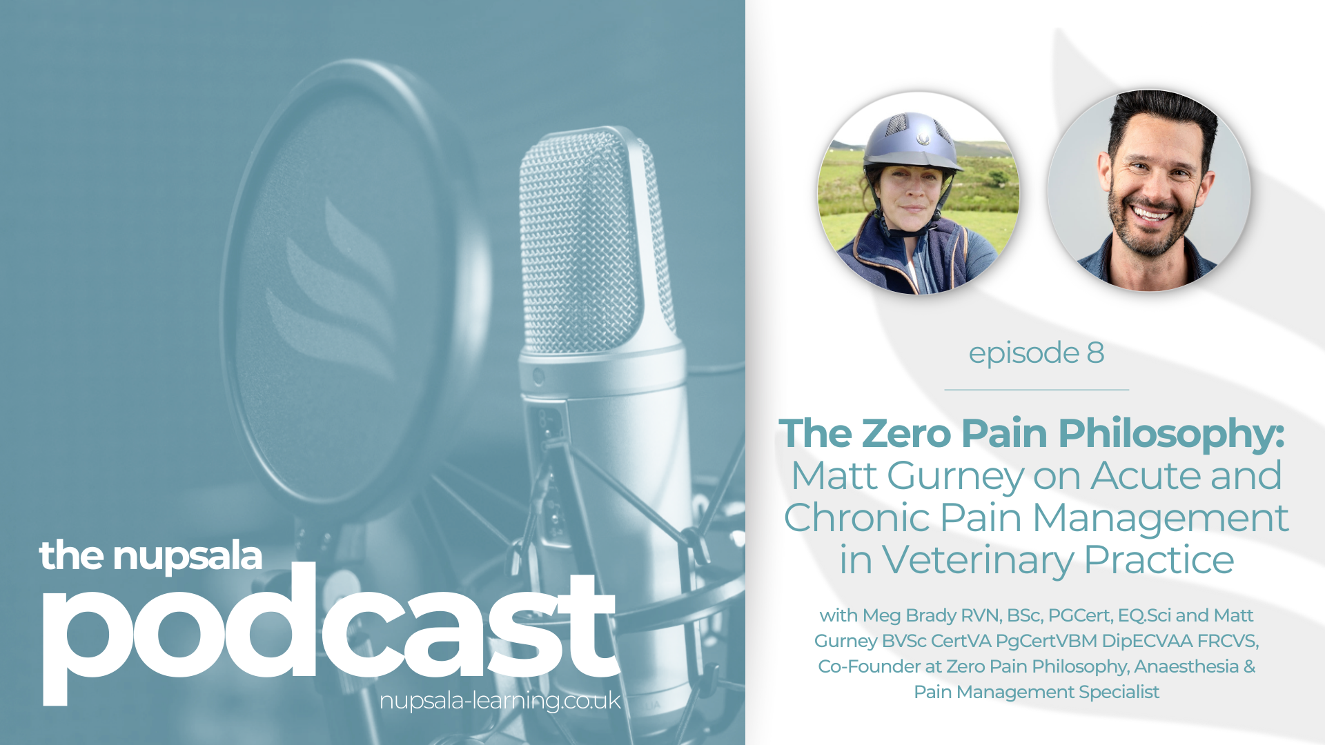 The Nupsala Podcast Episode 8 | The Zero Pain Philosophy: Matt Gurney ...